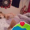 rebeccabrown749